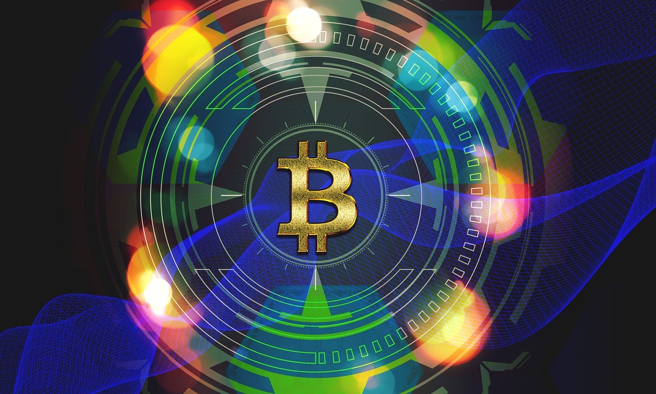 索俊友 第2页